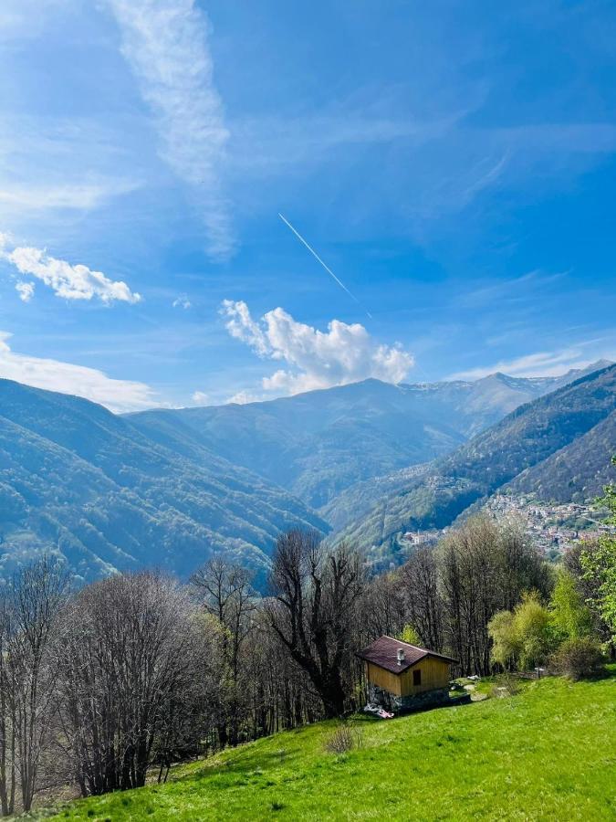 Alex Chalet