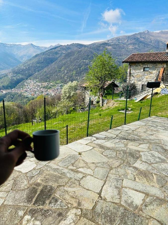 Chalet Alex Cavia