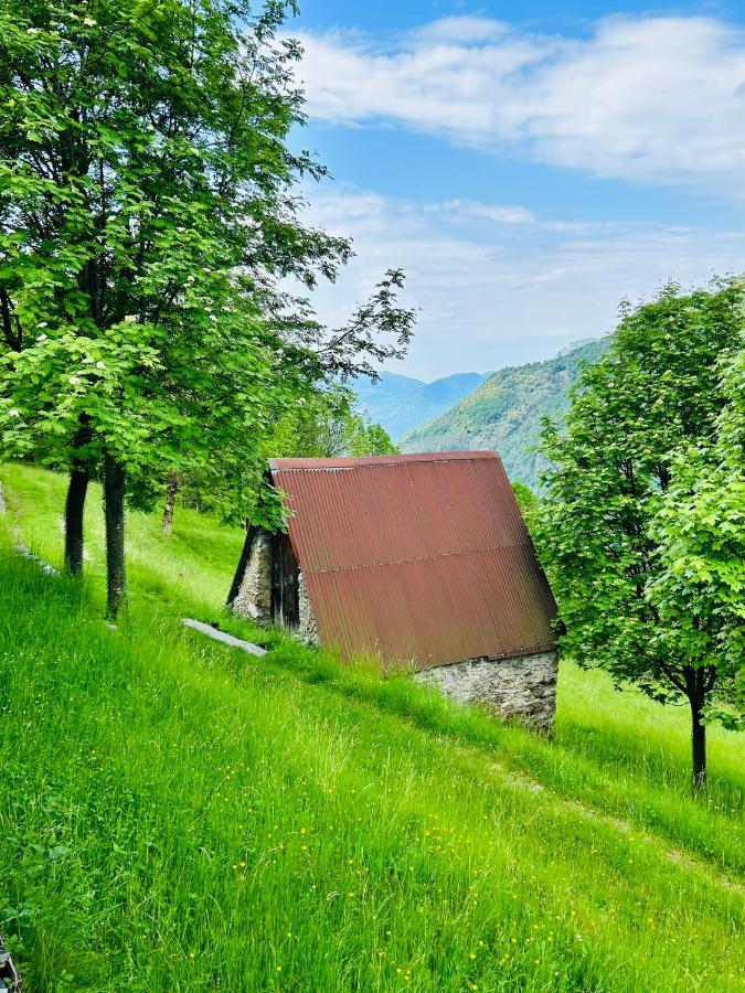 Chalet Alex