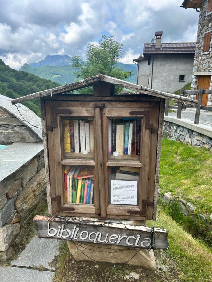 Chalet Alex Cavia